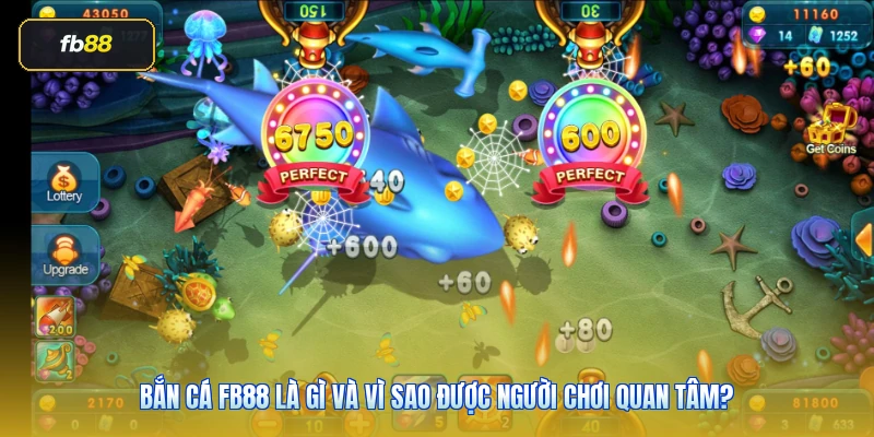 Bắn cá FB88 là gì và vì sao được người chơi quan tâm?