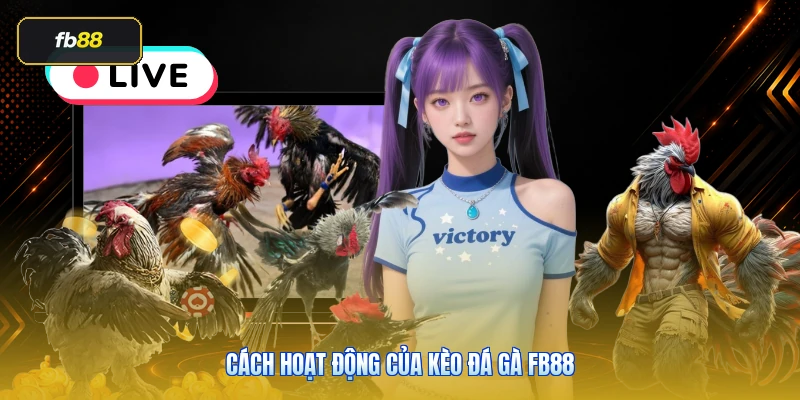 Cách hoạt động của kèo đá gà FB88