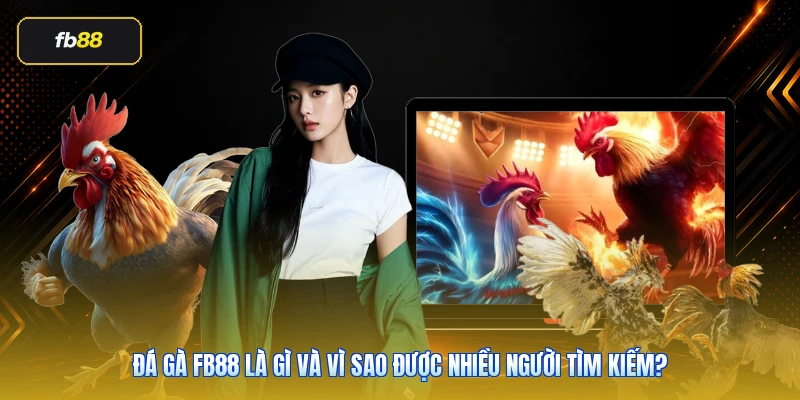 Đá gà FB88 là gì và vì sao được nhiều người tìm kiếm?