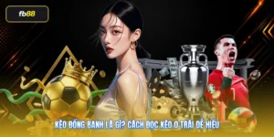 Kèo Đồng Banh Là Gì? Cách Đọc Kèo 0 Trái Dễ Hiểu