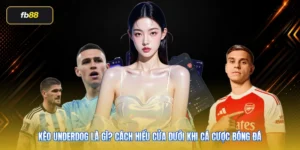 Kèo Underdog Là Gì? Cách Hiểu Cửa Dưới Khi Cá Cược Bóng Đá
