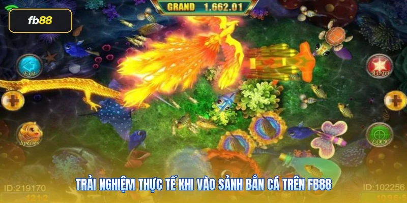 Trải nghiệm thực tế khi vào sảnh bắn cá trên FB88